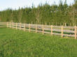 GreenWood Farm Timber for buildings and fencing